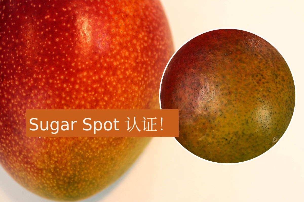 이미지 설명이 없습니다.