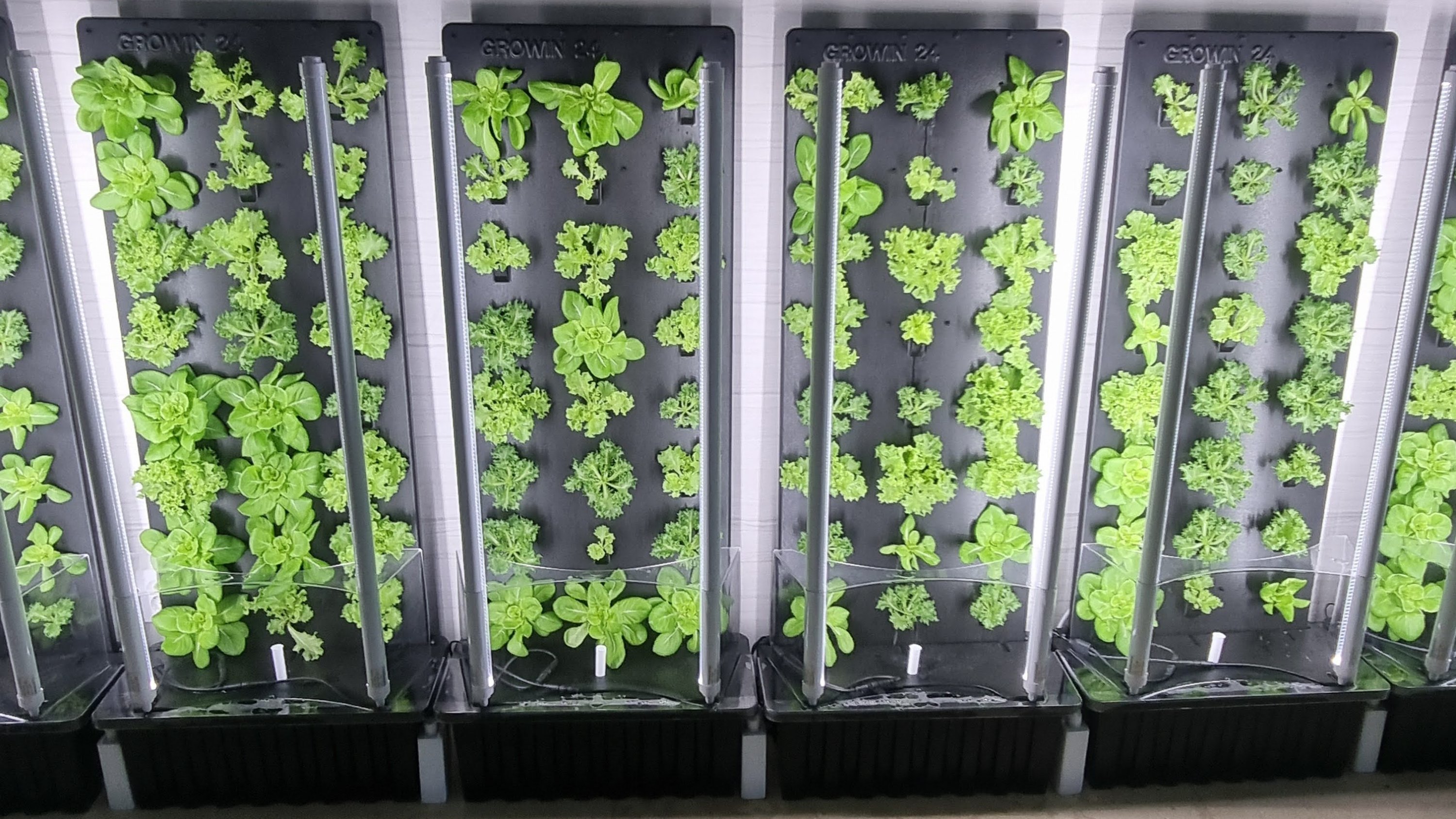 在专属空间打造无需土壤、仅用水培育的家庭菜园！家用植物培育器Groin24