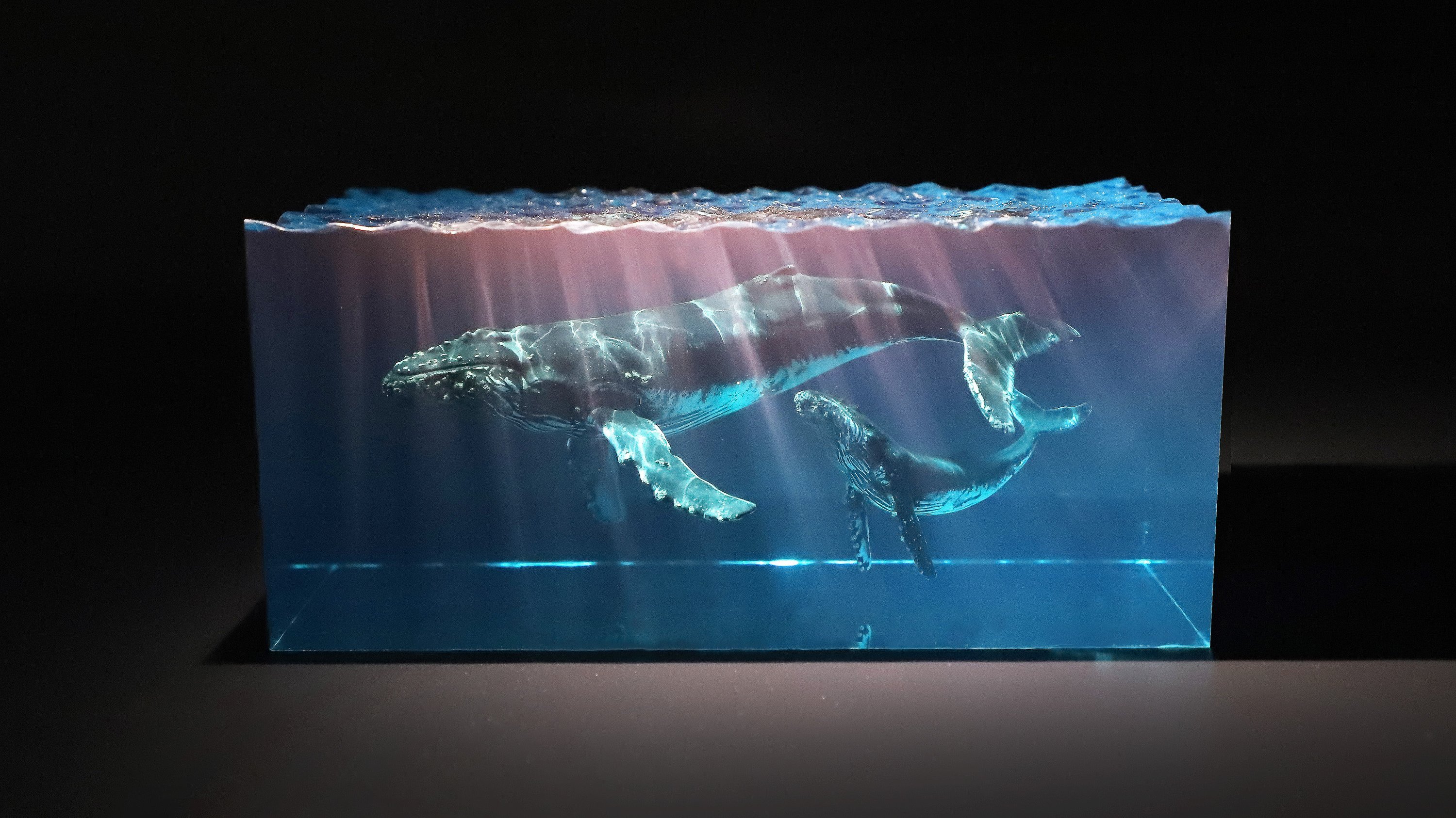 蕴含大海之美的座头鲸树脂摆件/氛围灯