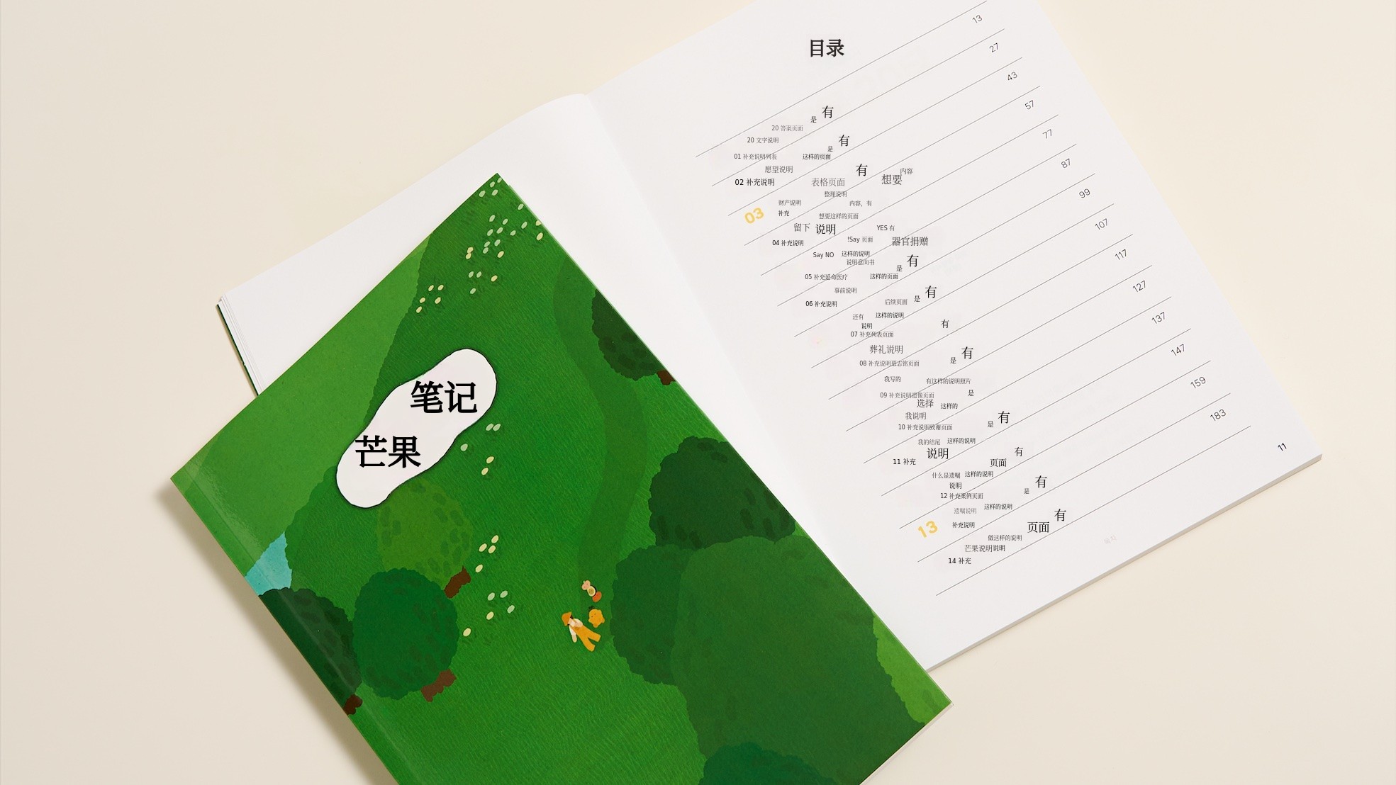 虎死留皮，我们留下芒果笔记