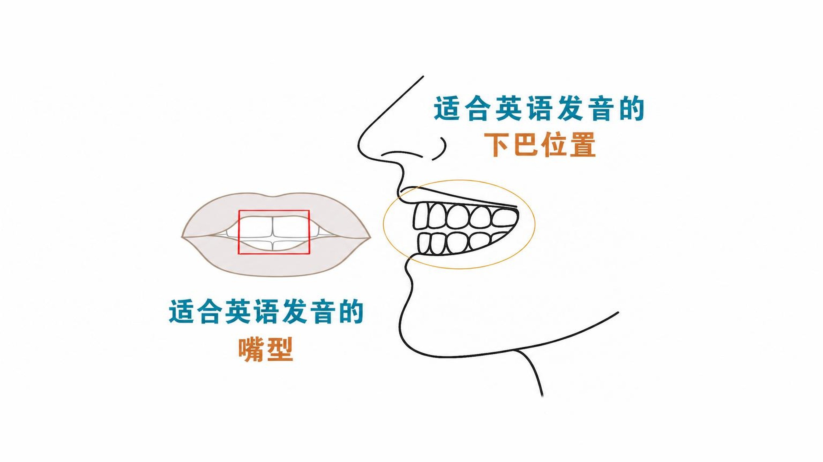 两项英语专利加持！革新短期速成，轻松掌握英语会话与发音！