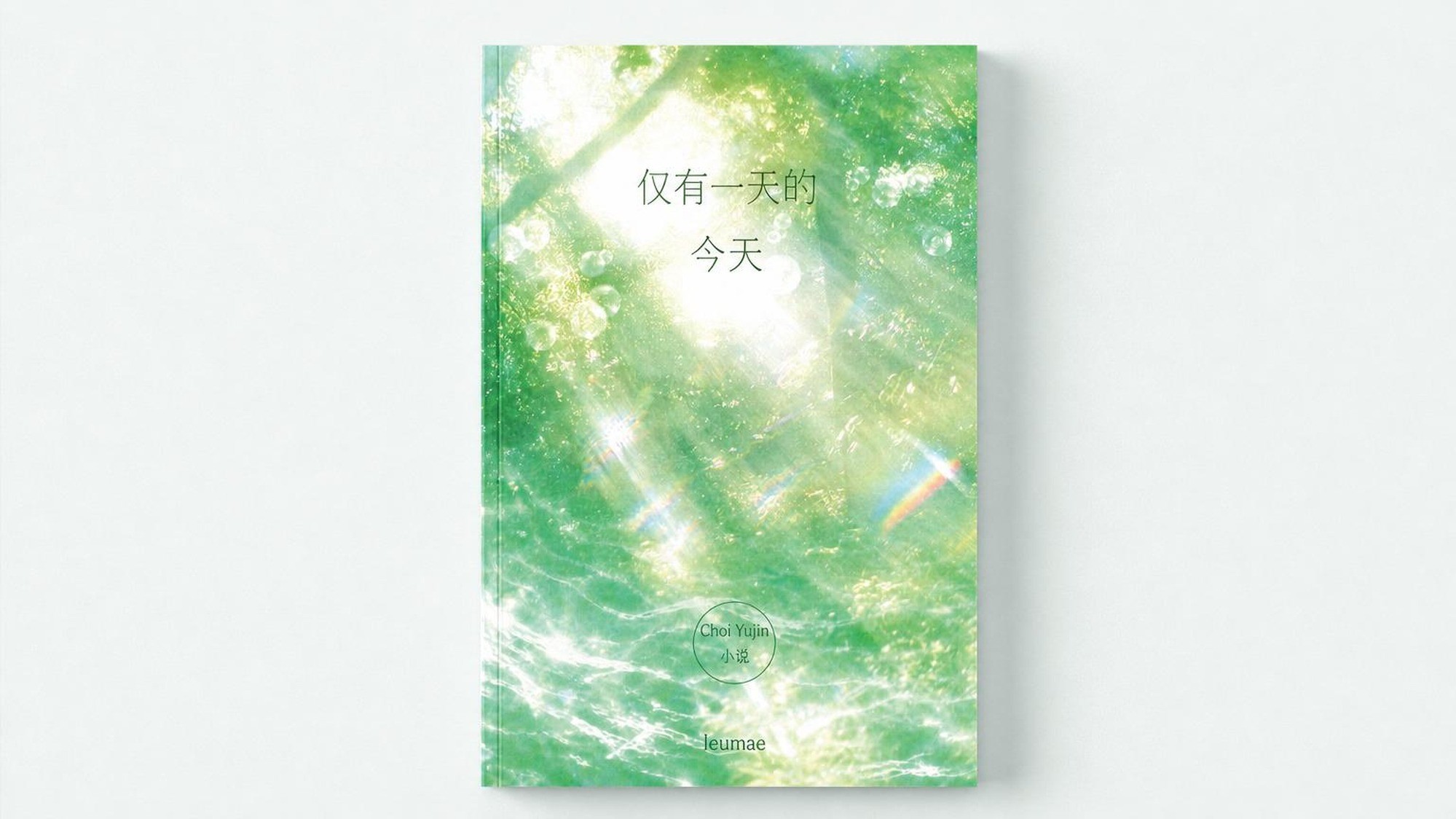 十年不变的梦，小说《只有今天》